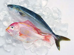 鱼汞含量超标