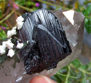黑钨锰矿